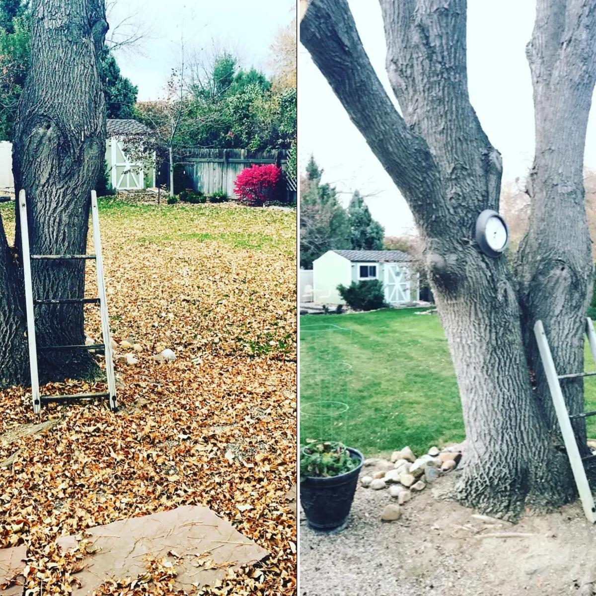 Seasonal Clean-Up Services for Rock Masters Inc. in Evans, CO