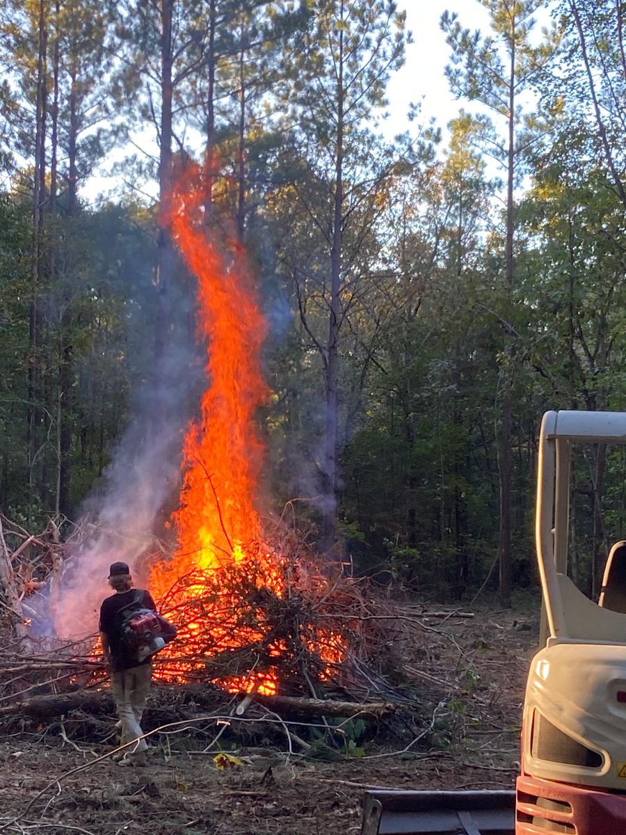 Tree Trimming & Removal for Upchurch Property Management in Carthage, NC