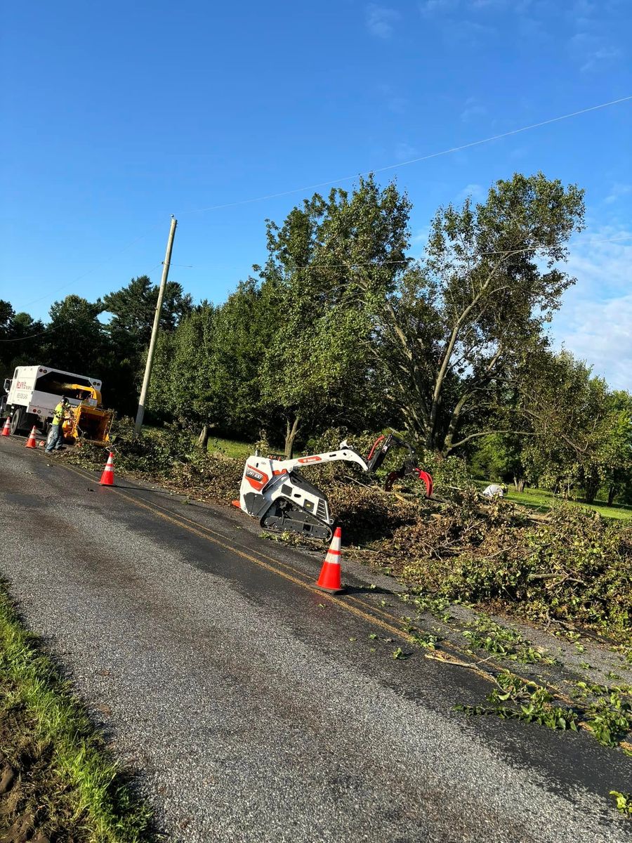 Tree Removal for Melnyk’s Tree Service in Salem County, NJ