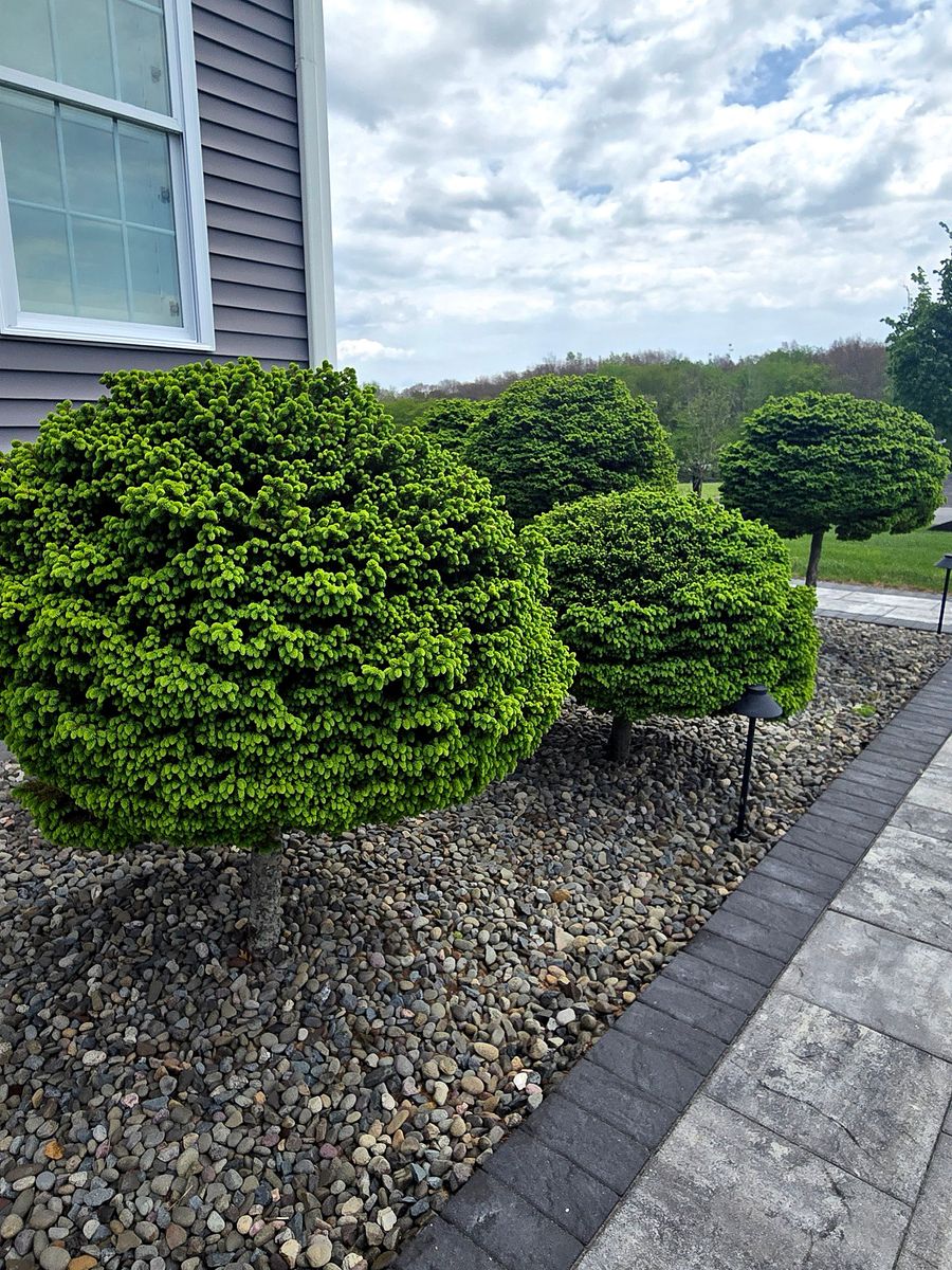 Planting & Pruning for Tony Monaco Landscaping Inc. in Orange County, NY