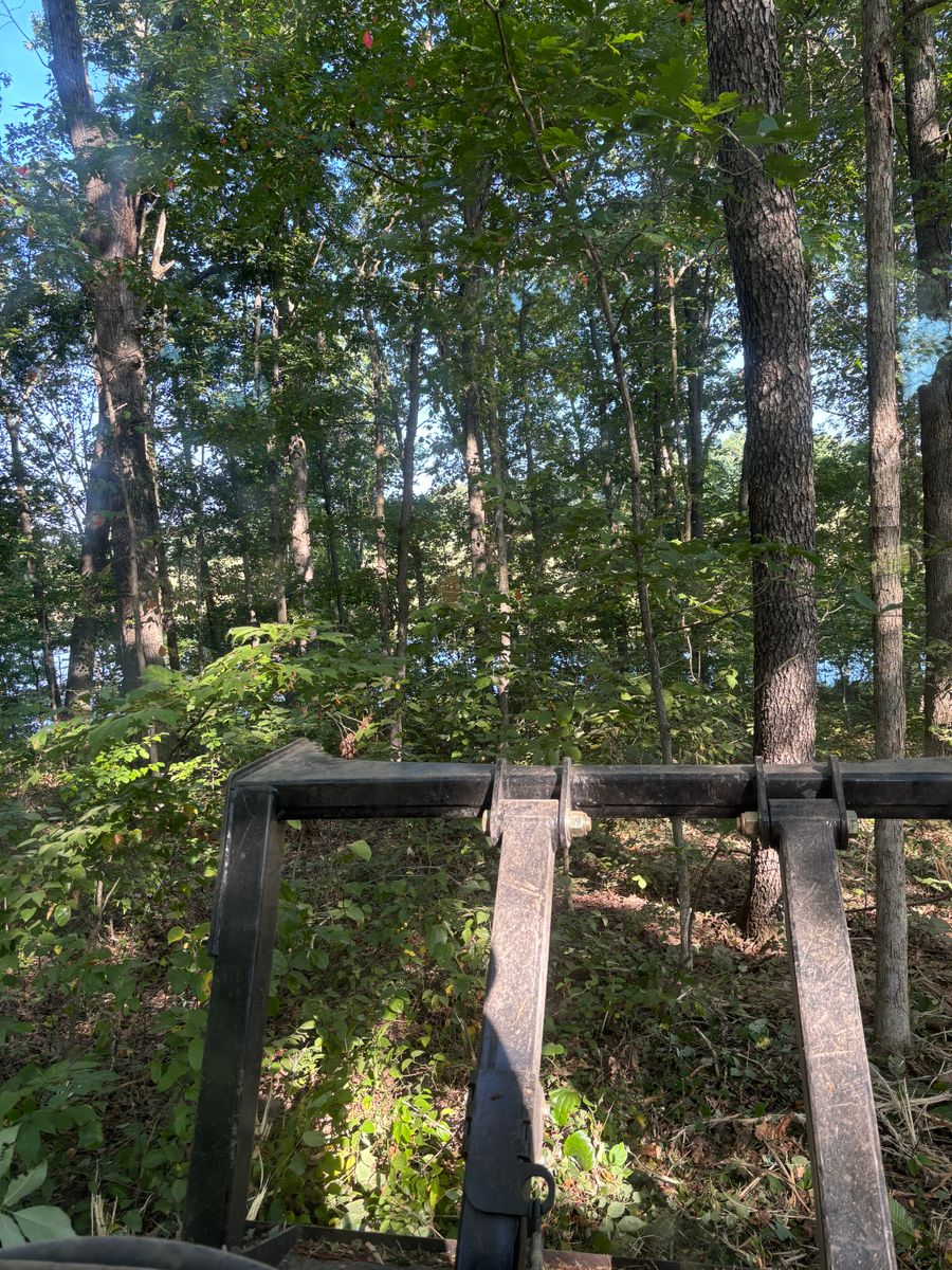 Land Clearing for Gregory Grass and Lawn in Lafayette, TN