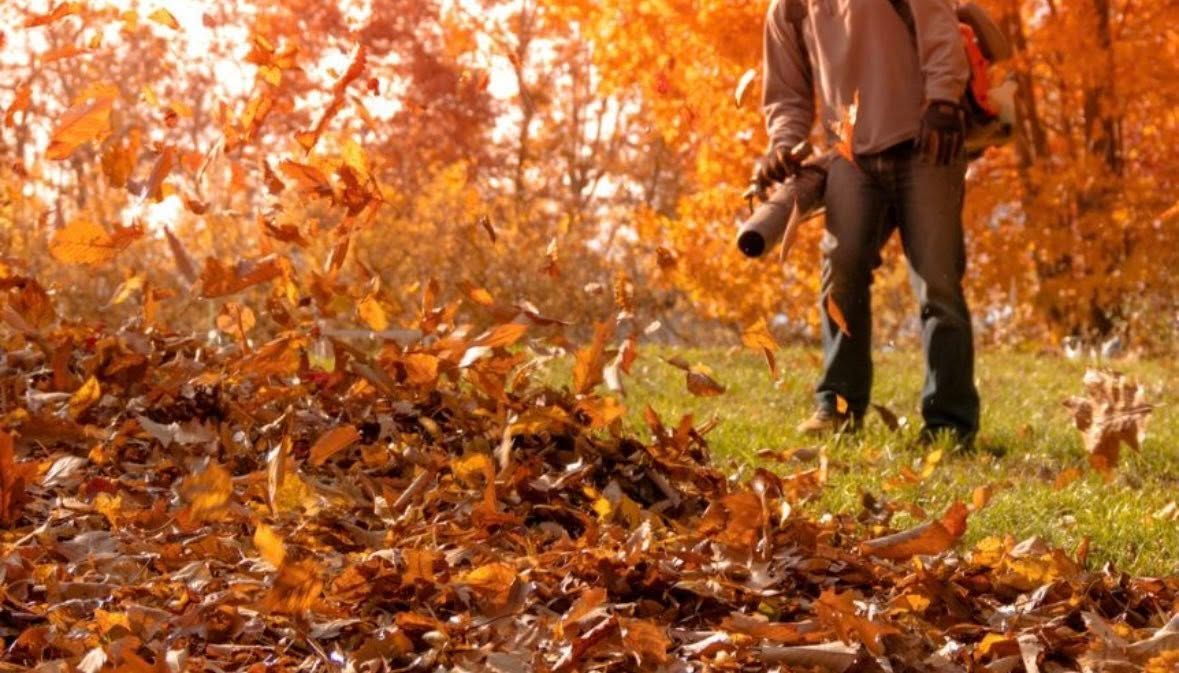 Cleanups for Wright Lawn Services in Ozark, MO