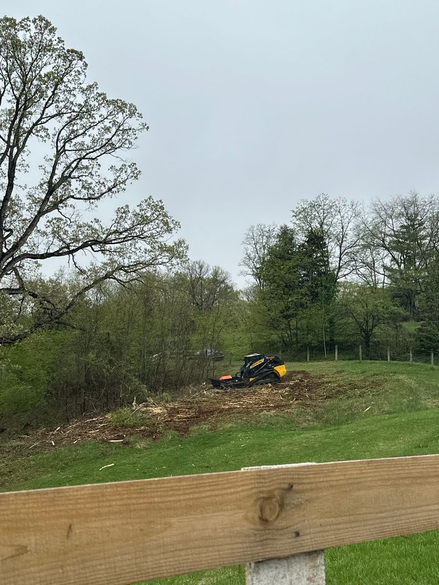 Land Clearing for Williamson Logging in Hardy, VA