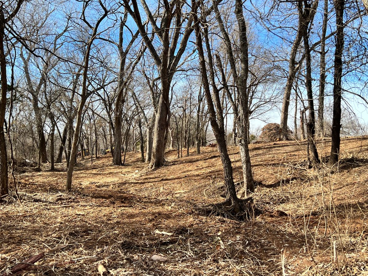 Forestry Mulching for 365 Excavation & Land Solutions in Oklahoma City, OK