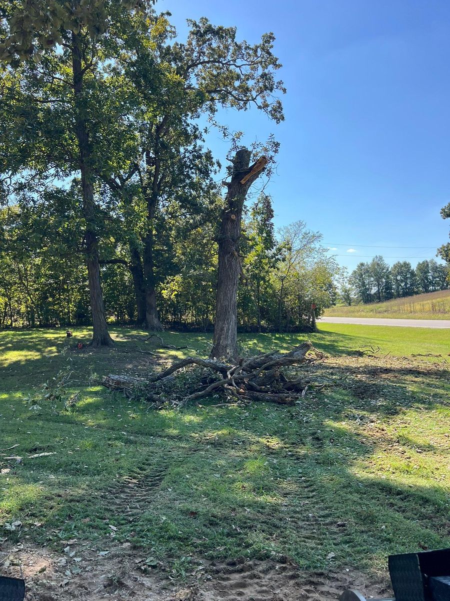 Stump Grinding for Baker Professional Services LLC in Shelbina, MO