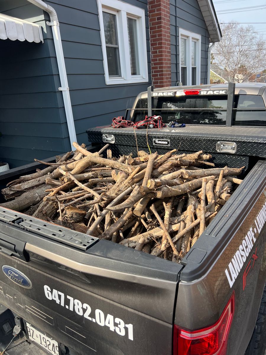 Tree and Shrub removal for CMN Exterior Maintenance in Hamilton, ON