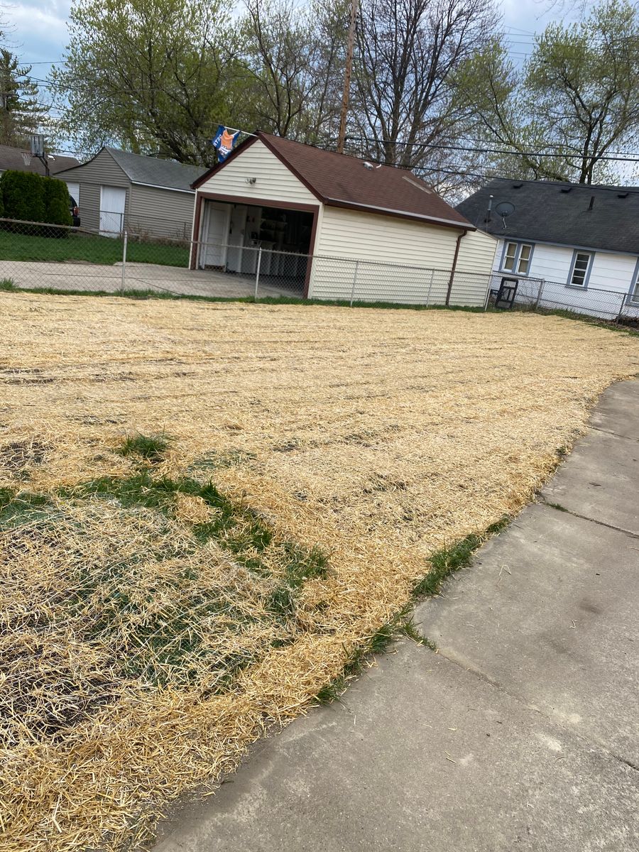 Seeding for Alltimate Outdoor Services in Warren, MI