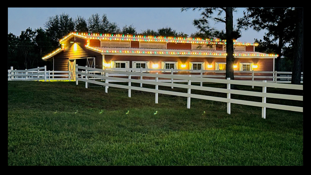 Christmas Lights Maintenance for North Star Lighting in Conroe,  TX