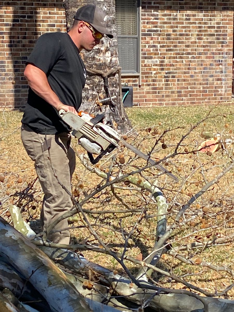 Fall Clean Up for Top Notch Tree Experts in Orange Park, FL