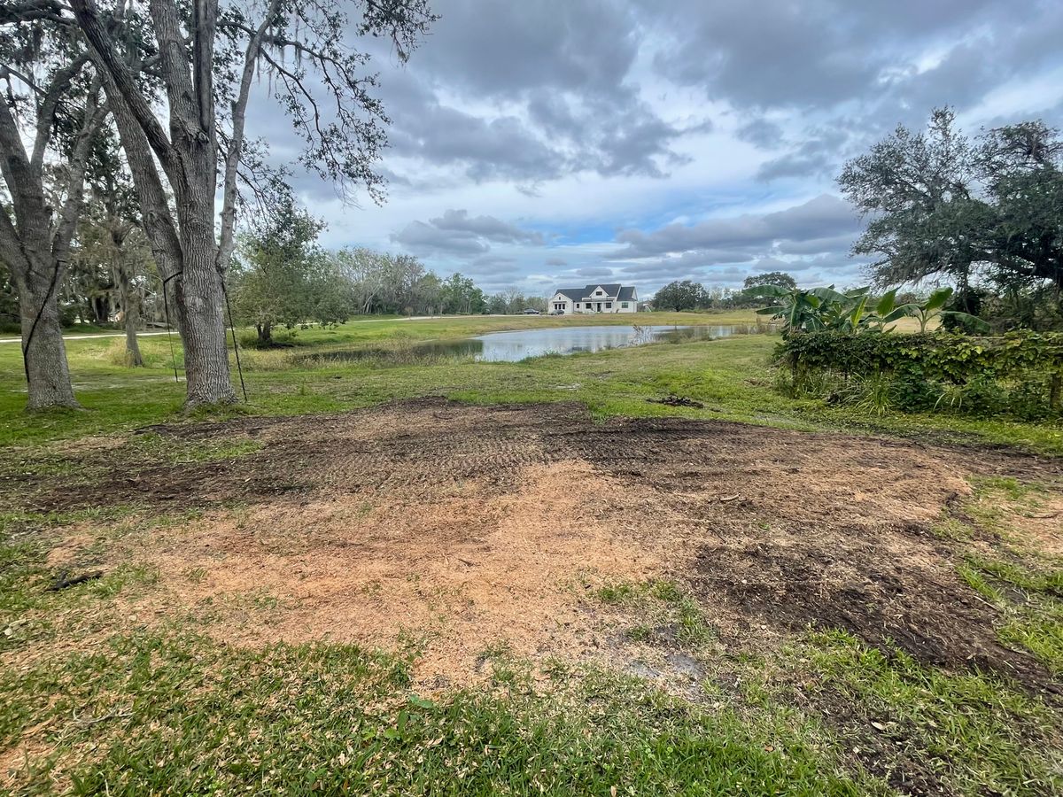 Stump Removal for Adam's Tree and Stump Care in Bradenton, Florida