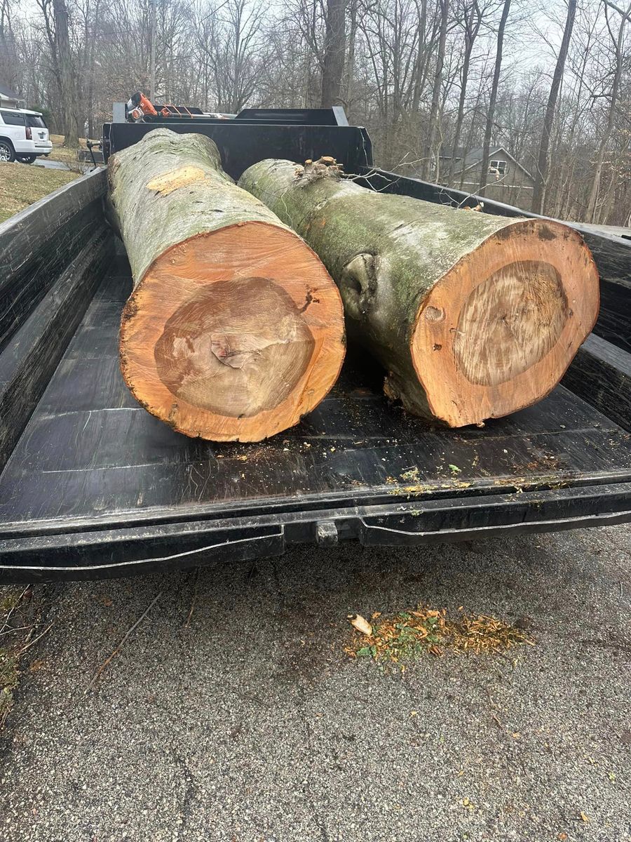 Tree Removal for Greenskeeper Property Management in Elizabethtown, KY