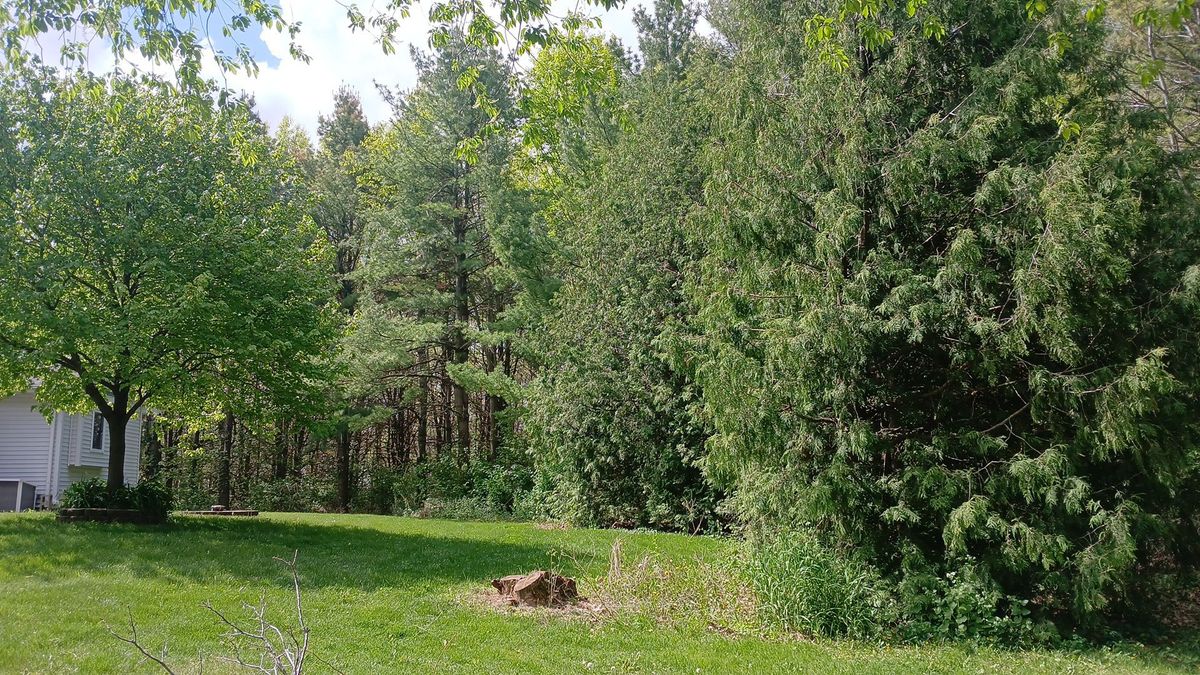 Landscaping for Willing Trucking & Excavating in Evansville, WI