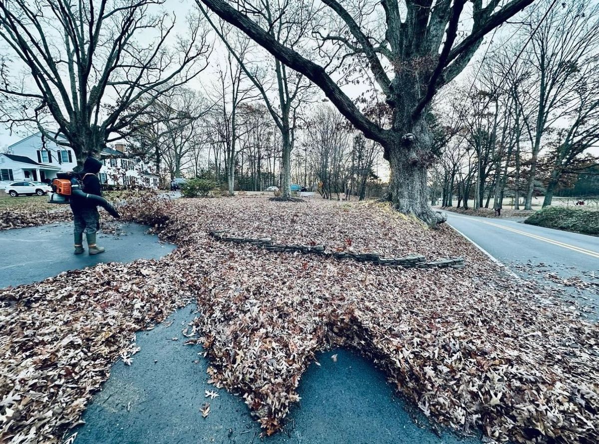 Leaf Removal for Nate's Property Maintenance LLC  in Lusby, MD