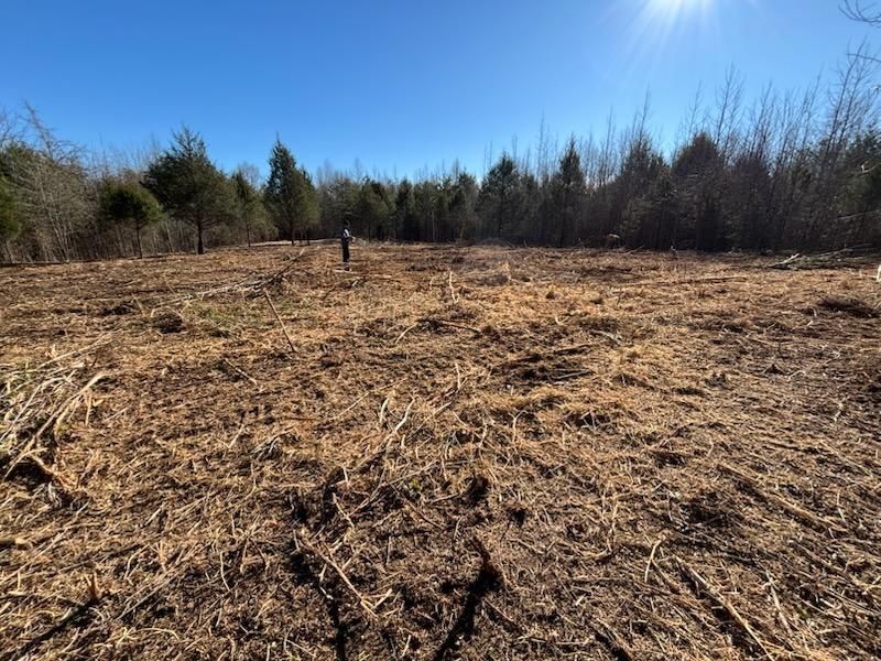 Site Prep & Cleaning  for Carolina Construction Services in Woodleaf, NC