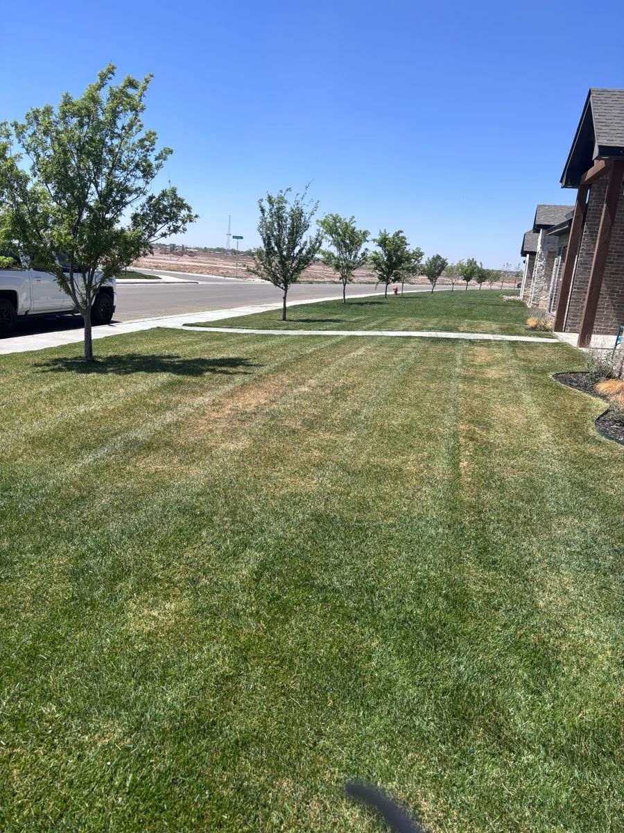 Lawn Maintenance for Marple Services in Amarillo, TX
