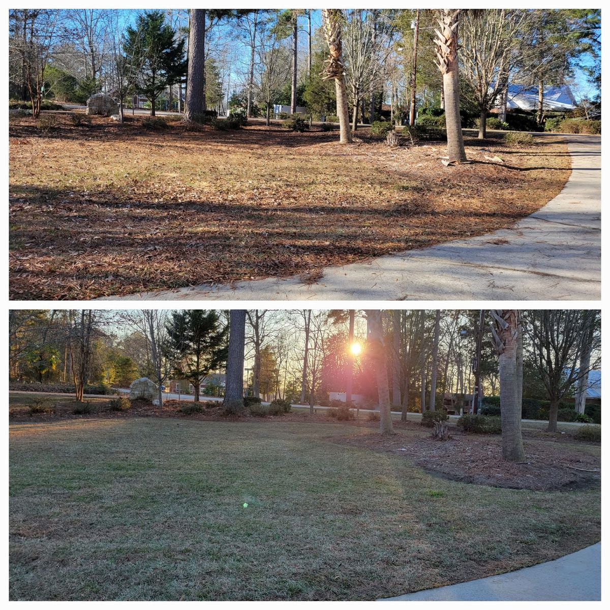 Lawn Maintenance for S&D Lawn & Landscape LLC in Gilbert, SC