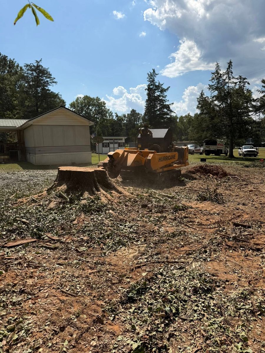 Stump Excavation for Dozier Stump Grinding in Augusta, GA