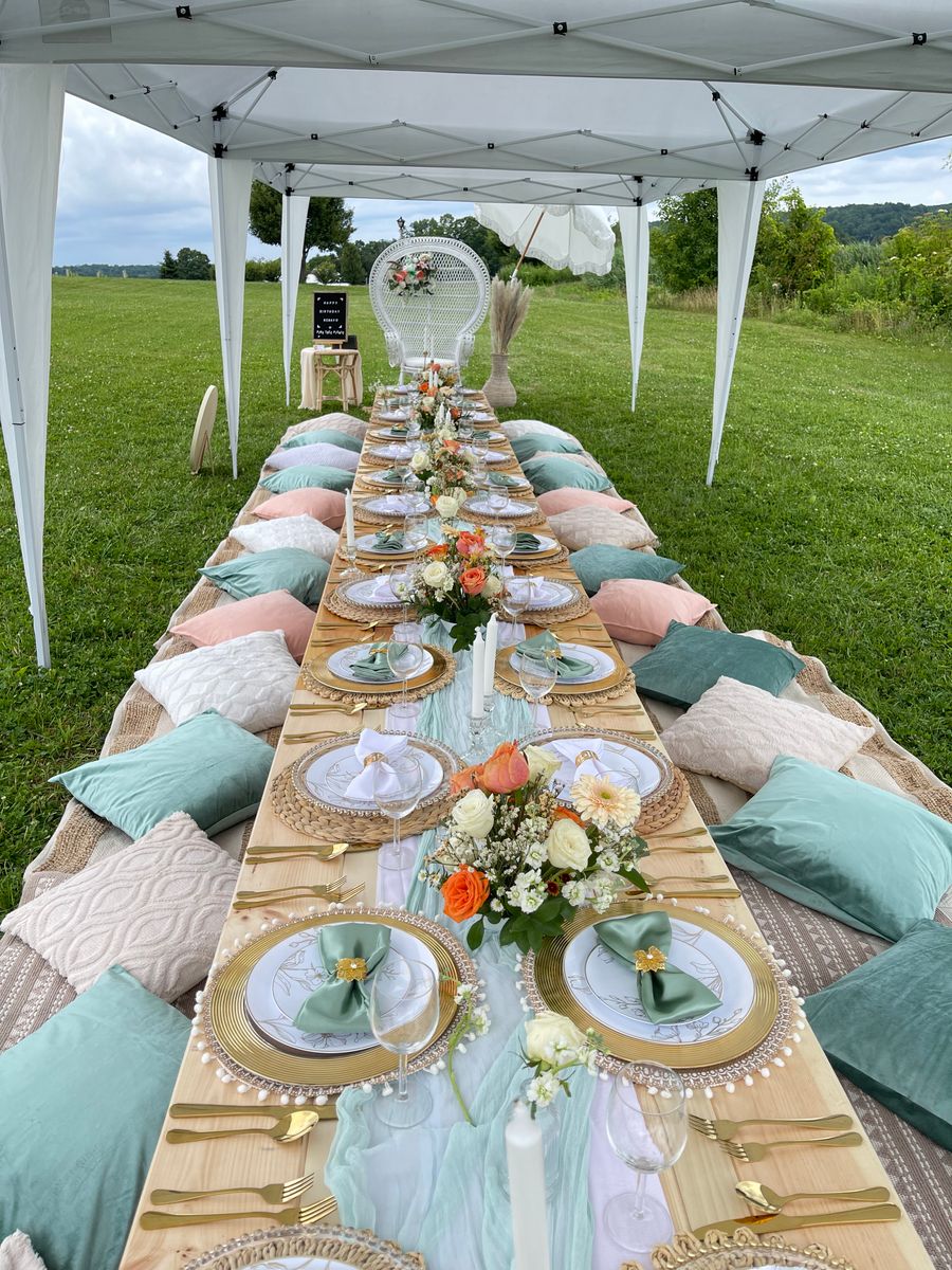 PREMIUM PICNIC PACKAGE for Pink Tree Picnic in Hartford, CT