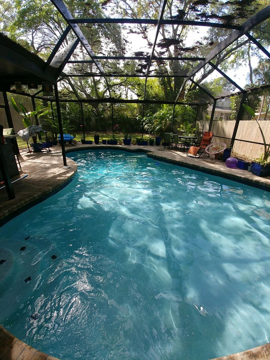 Pool Cleanups for Blue Bay Pools in Tampa, FL