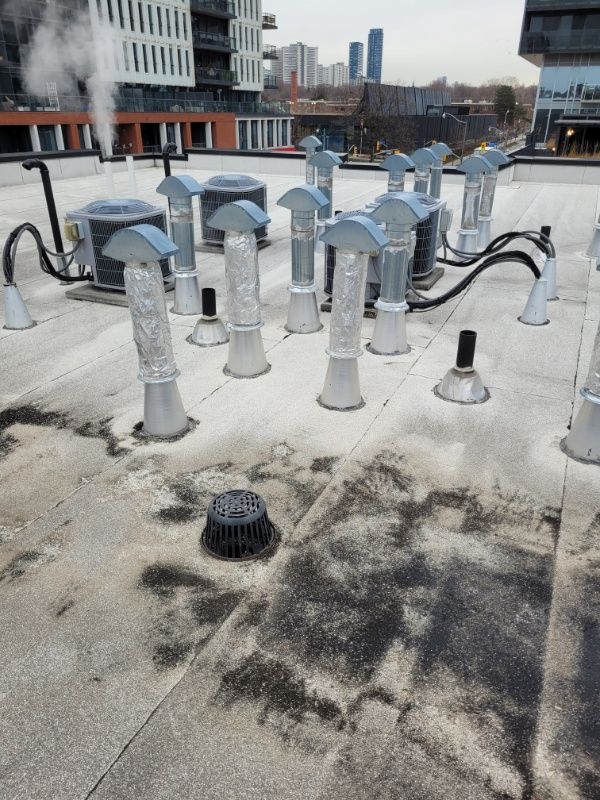 Roofing Inspections for Triumph Inc - Repair & Maintenance in Scarborough, ON