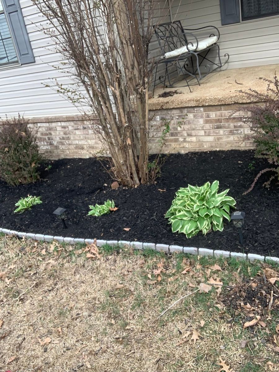 Landscape Design for Apex Lawn & Landscaping INC in Dyersburg, TN