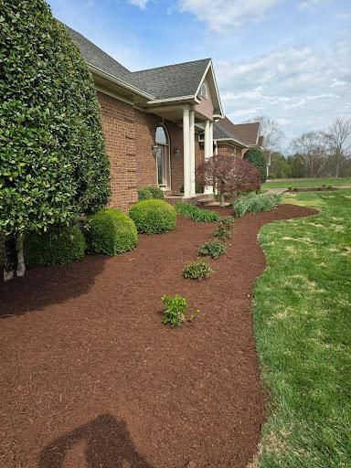 Shrub Trimming for Optimum Tree Service And Landscaping in Bowling Green, KY
