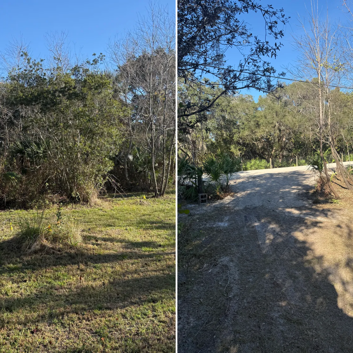 Tree Removal for Amerigrown Tree And Lawn in Apopka, FL
