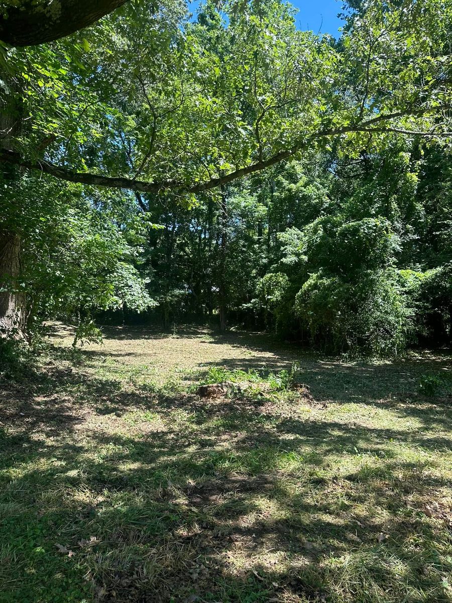 Land Clearing & Demolition for Rock Solid Construction & Excavation in Munford, TN