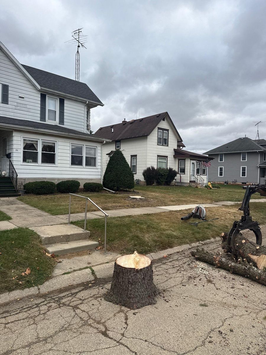 Stump Removal for Fransen's Tree Service  in Freeport, IL
