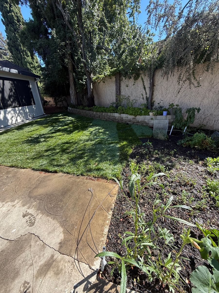 Mulch Installation for CBA Landscaping in Hayward, CA