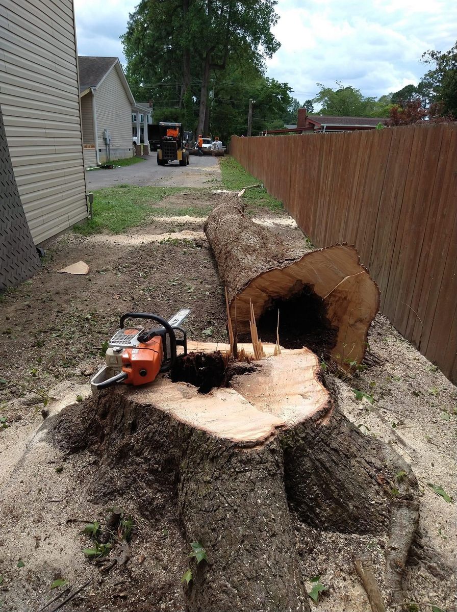Tree Removal for James River Tree Service in Suffolk, VA