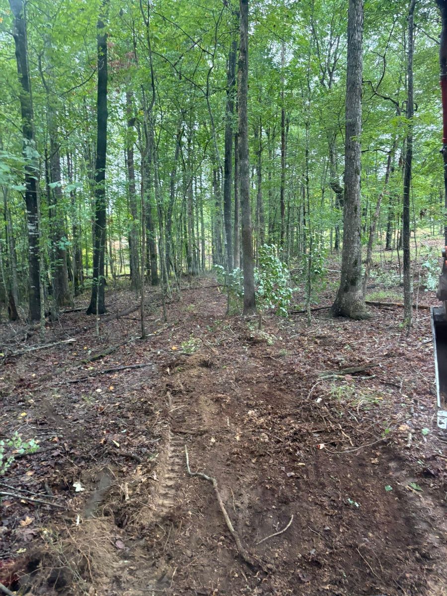 Forestry Mulching for TD Dirtworks in Tracy City, TN