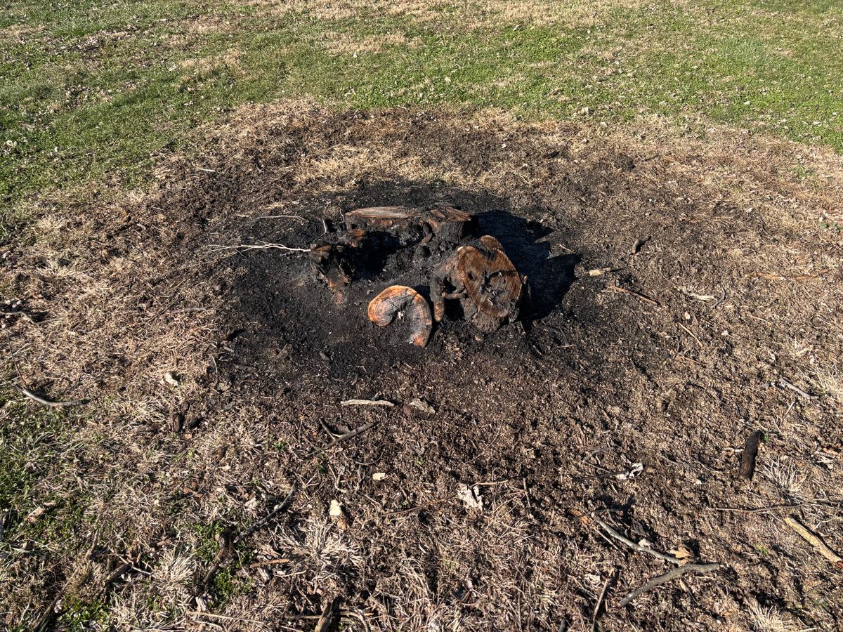 Stump Removal for Conrad's Stump Removal in Columbus, IN