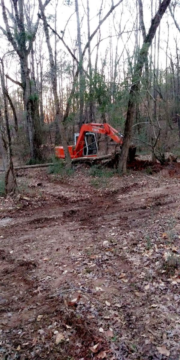 Stump Removal for GSG Services in Comer, GA