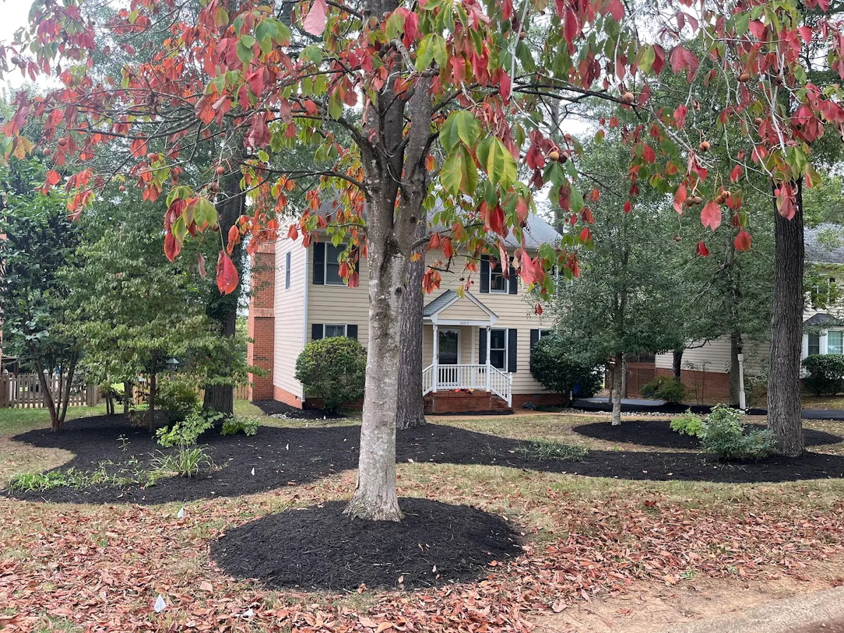 Weed Control for Seal Lawncare in Richmond, VA