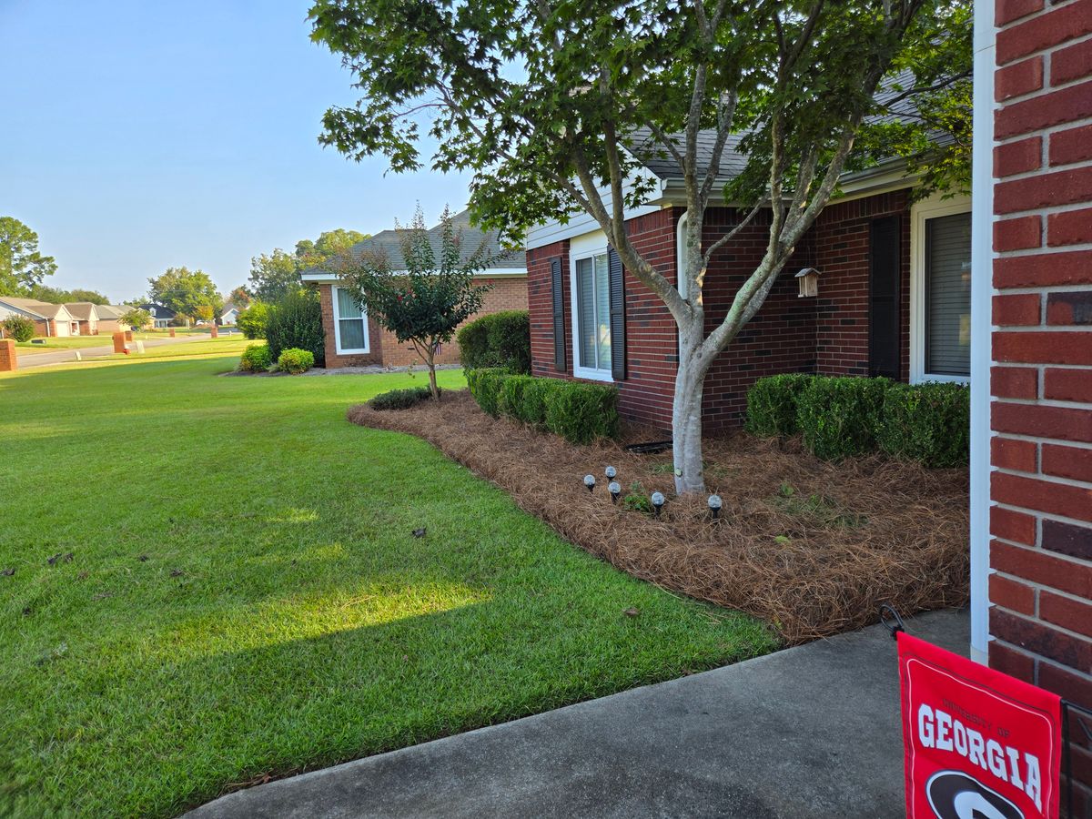Pinestraw Install for Zepeda's Mowing in Fort Valley, GA