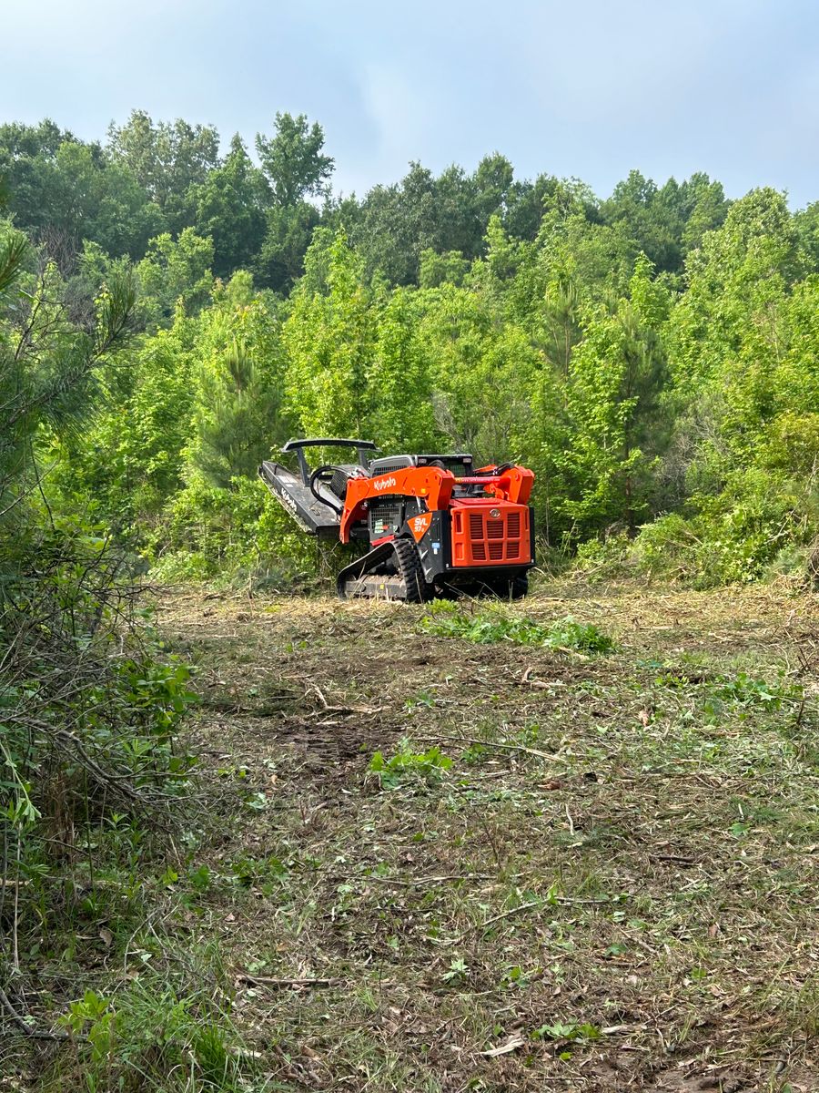 Brush cutting & Mulching for Lambert Equipment Services in Hessmer, LA