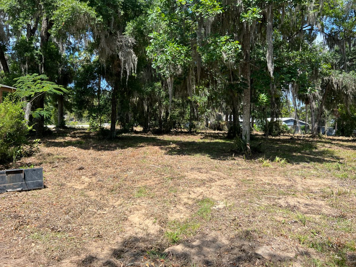 Brush cutting for Roberts Lawn & Landscape in Cross City, FL