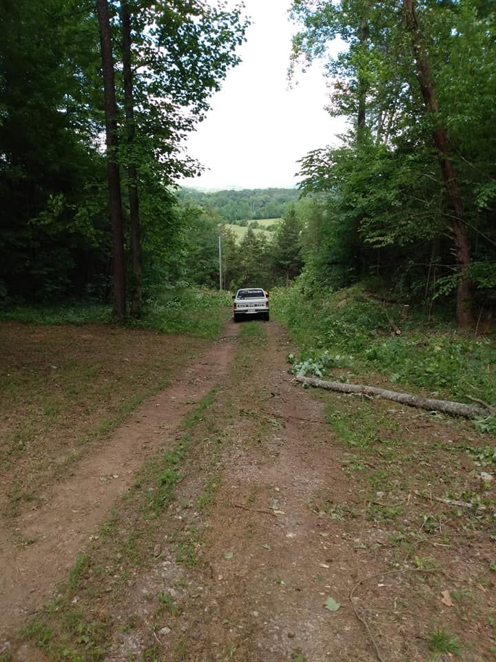 Land Clearing for Lance Tree Service in Tellico Plains ,  TN