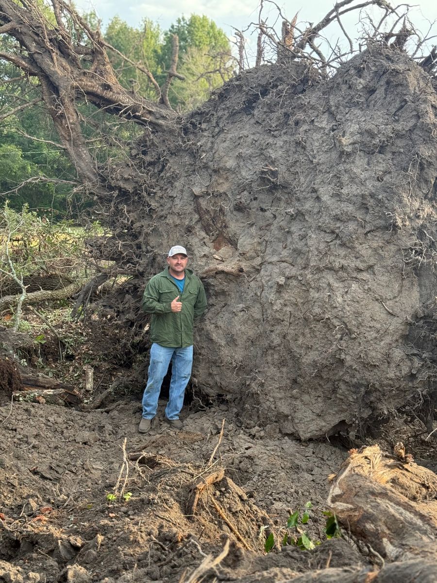 Land Clearing for Clean Acres in Hartsville, SC