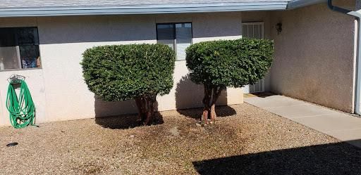 Shrub Trimming for A to Z Grounds Keeping in Sierra Vista, AZ