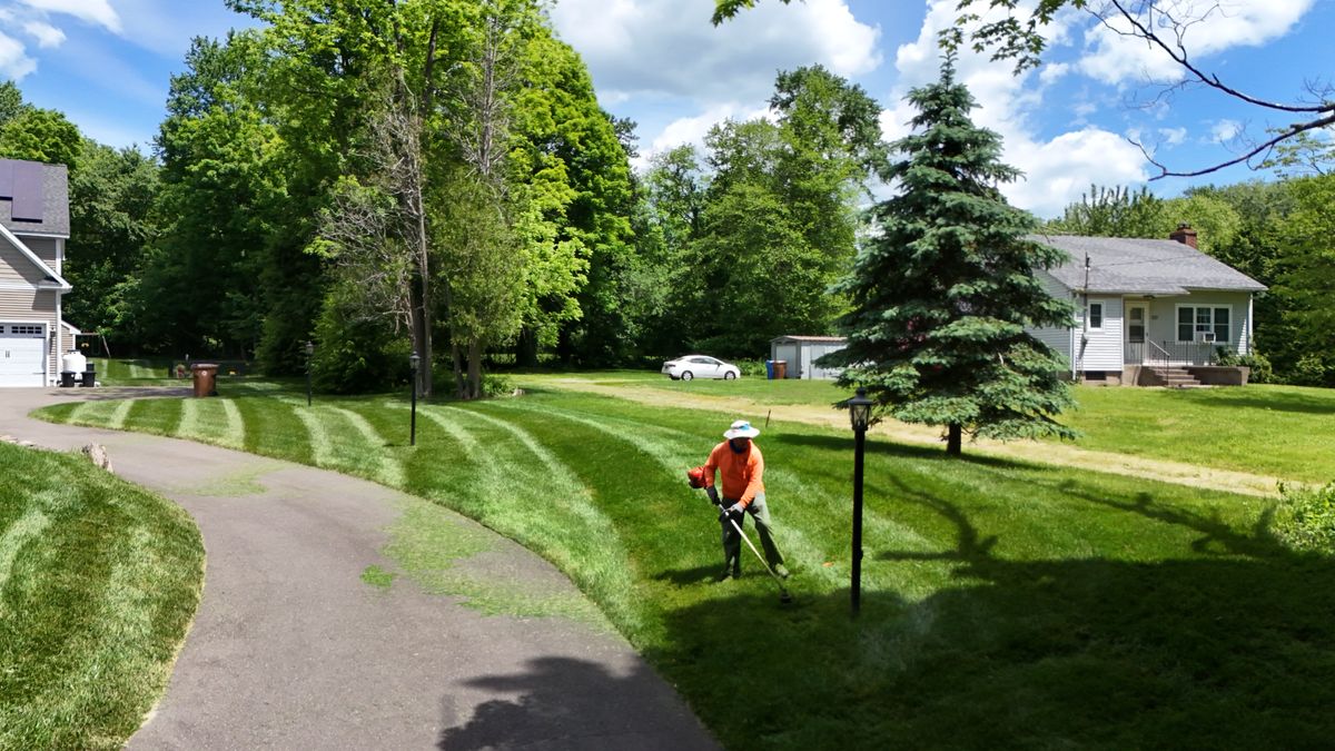 Weekly Lawn Maintenance for Ace Landscaping in Trumbull, CT