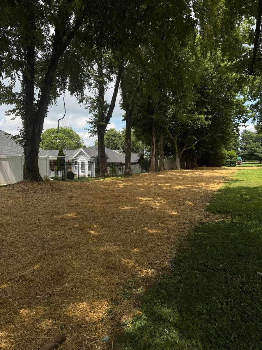 Lawn Maintenance for Nicholson Lawn Care in Jeffersonville, IN