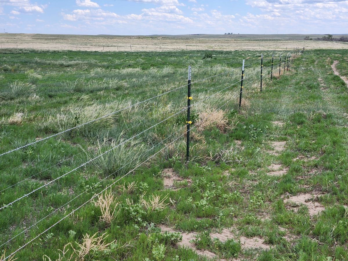 Agricultural Fencing for M&N Fencing in Northeast Colorado, CO