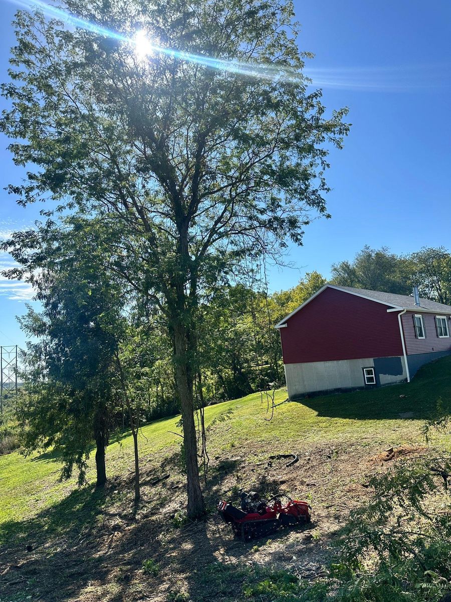 Land Clearing for Cross Family Tree Service in Kearney, MO