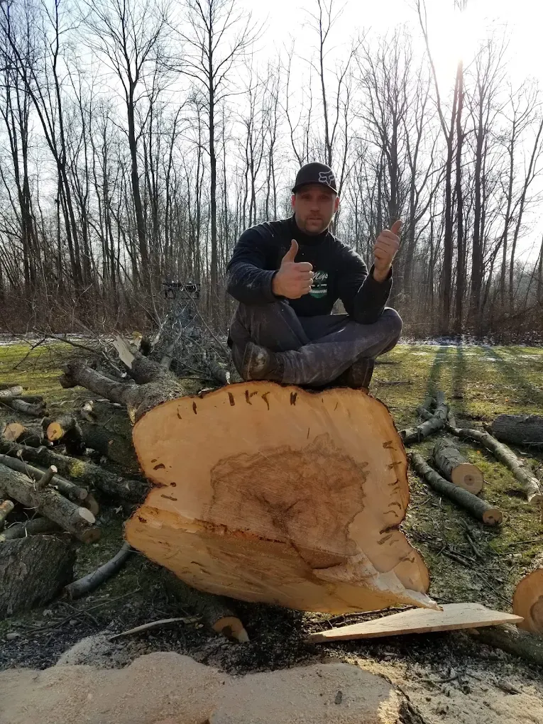 Tree Removal for Mays Tree and Stump Removal in Alden, NY