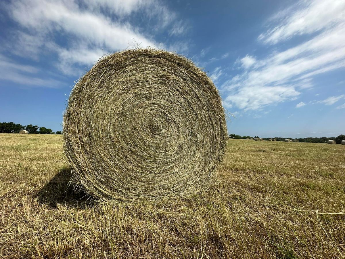 Hay Bailing for Circle W Services in Canton, TX