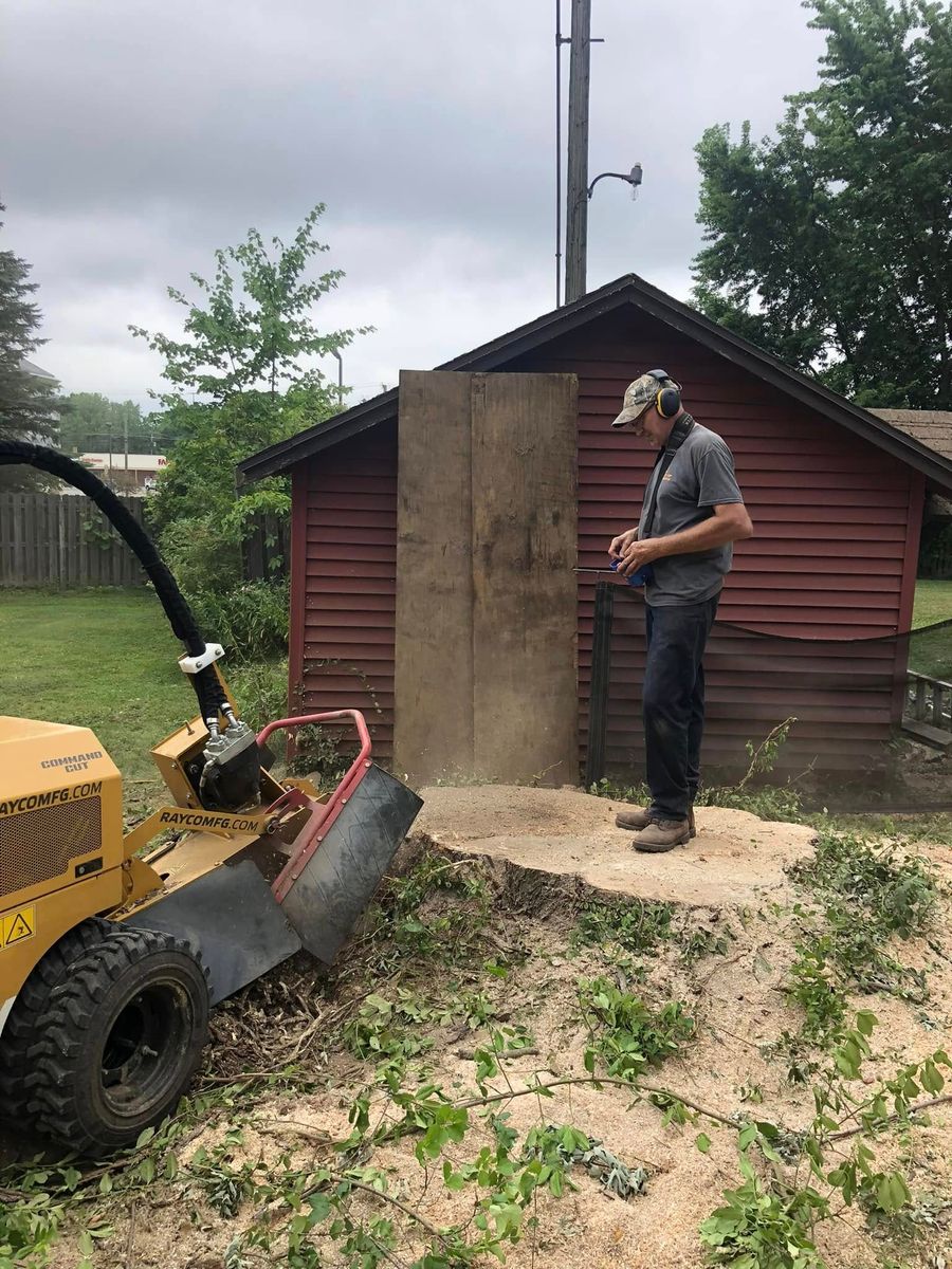 Shrub Trimming for Dean's Stump Removal in Youngstown, OH