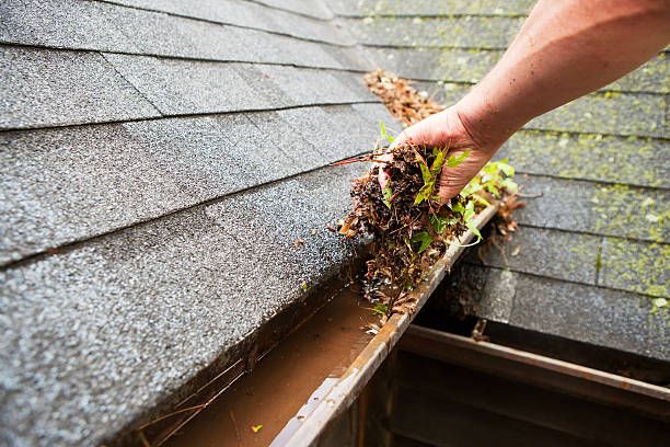 Gutter Cleaning for Greenlee & Family Landscaping Services in Peoria, IL