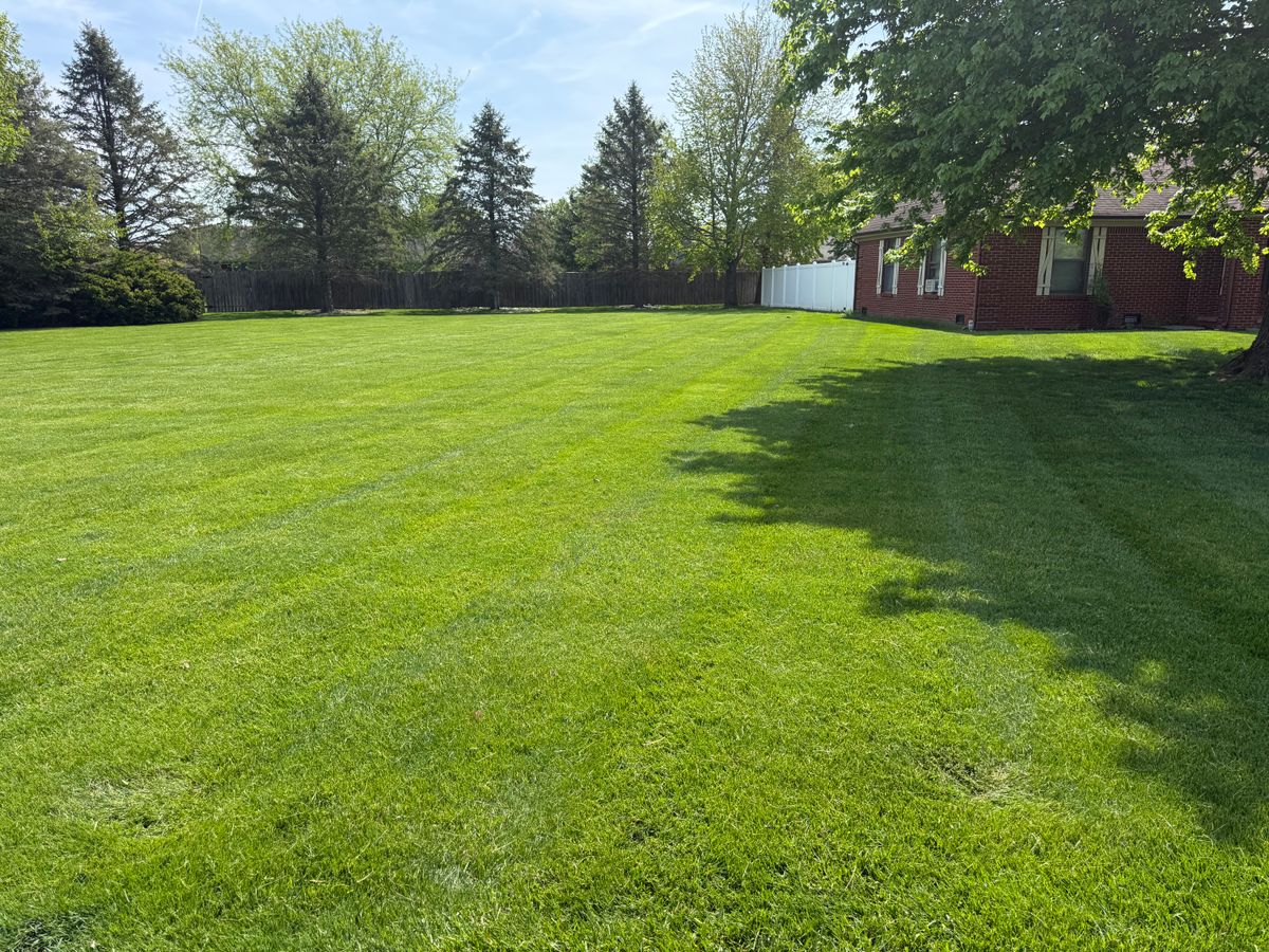 Mowing for Bearforce Lawn Care LLC in Greenfield, IN